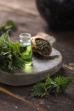 Tahta masa üzerinde taze ısırgan otu yaprakları. Urtica dioica yağı.