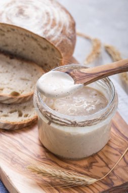 Ekmek yaprakları aktiftir. Başlangıç mayası (ekmek pişirmek için mayalanacak su ve un karışımı). Sağlıklı beslenme kavramı