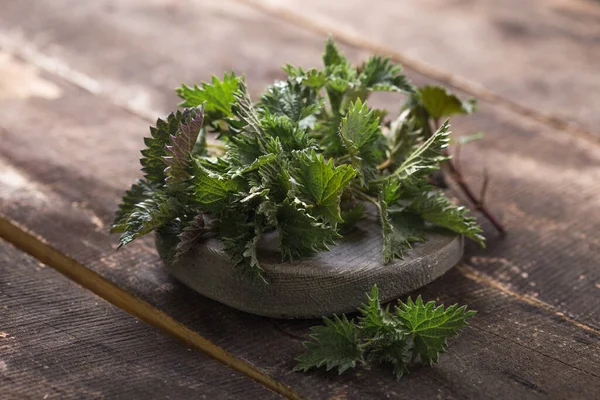 Jelatang Penyengat Segar Pada Tablet Kayu Urtica Dioica Sering Disebut — Stok Foto