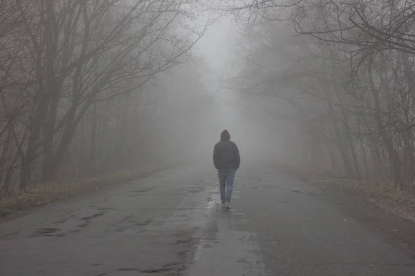 霧の中の森 男は霧の中を歩いている 魔法のような雰囲気の暗い霧の森 — ストック写真