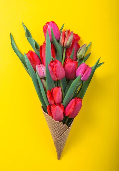 red  beautiful tulips in an ice cream waffle cone  a color background. Conceptual idea of a flower gift. Spring mood