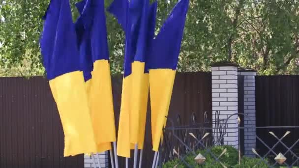 Zwaaiende Vlaggen Van Oekraïne Straat Landsymbool — Stockvideo