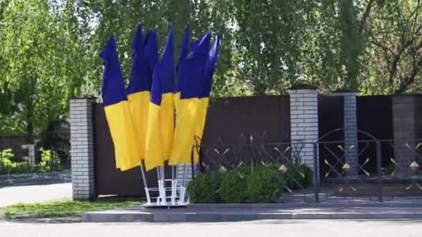 Zwaaiende Vlaggen Van Oekraïne Straat Landsymbool — Stockvideo