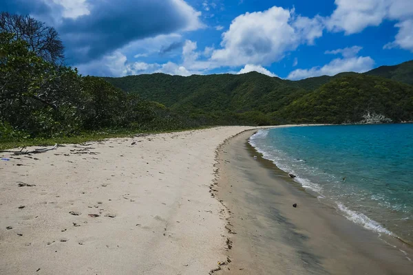 Panoramablick auf den Paradiesstrand. Sonnenstrand mit Palmen und türkisfarbenem Meer. — Stockfoto