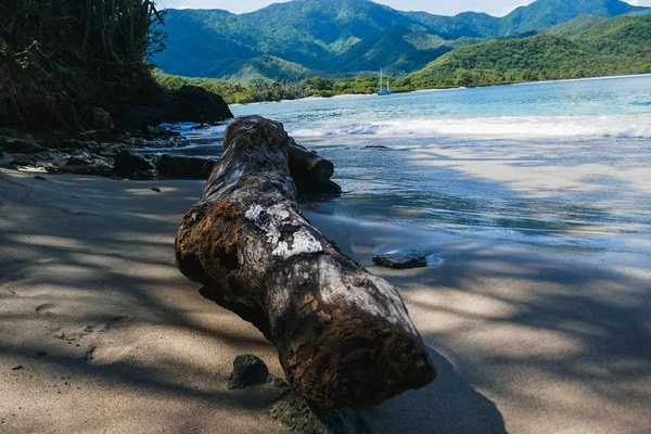 Holz am Strand und Meeresgrund, geeignet für den Einsatz am Strand. die Schönheit der Natur — Stockfoto