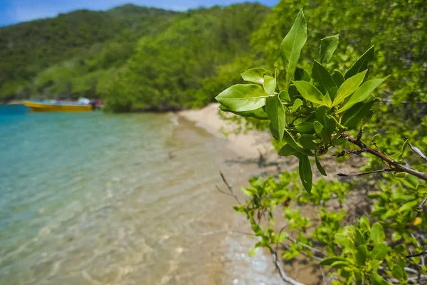 Schöner blick auf den strand im park tayrona - santa marta — Stockfoto