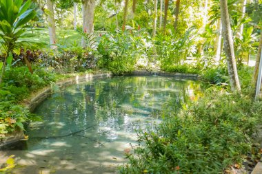Parktaki gölün kenarında aydınlık, sıcak bir gün.