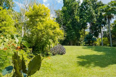 Güneşli bir günde güzel bir bahçe manzarası