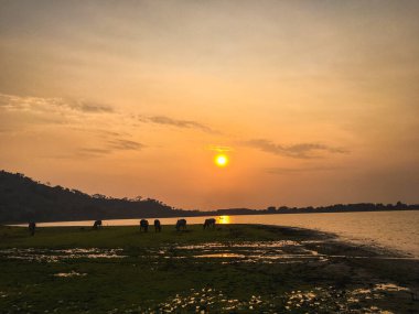 Gün batımında dağlar arasındaki nehir manzarası. Doğa konsepti