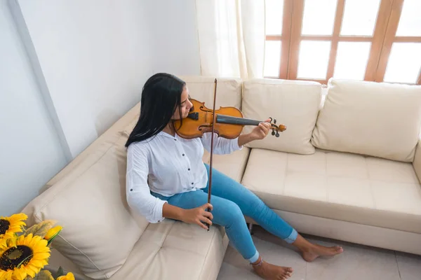 The image of a beautiful woman with a violin