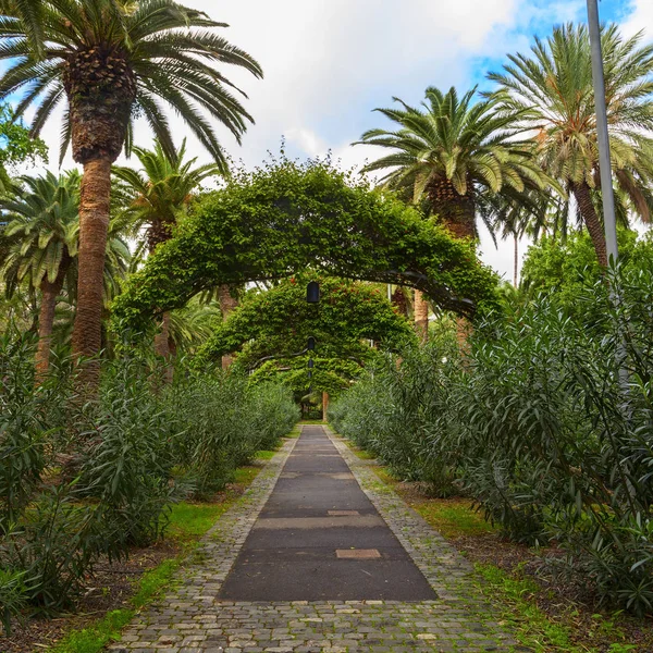 Jardín de santa cruz — Foto de Stock