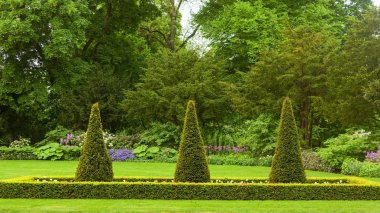slottsparken ağaç görünümü şehir Oslo