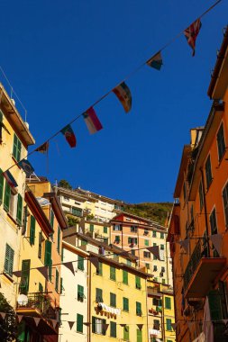 Yazın güzel Manarola sokak manzarası