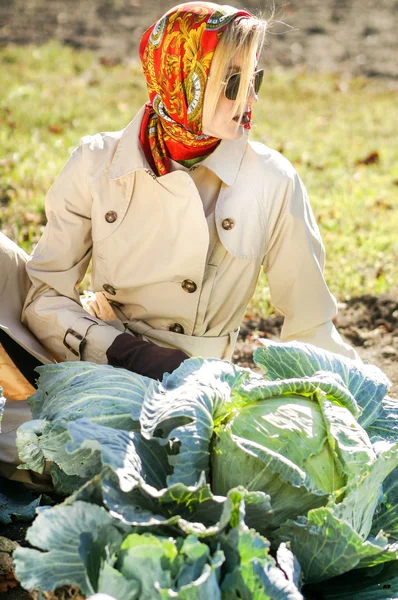 Femme beauté automne rural sur une journée d'automne ensoleillée — Photo