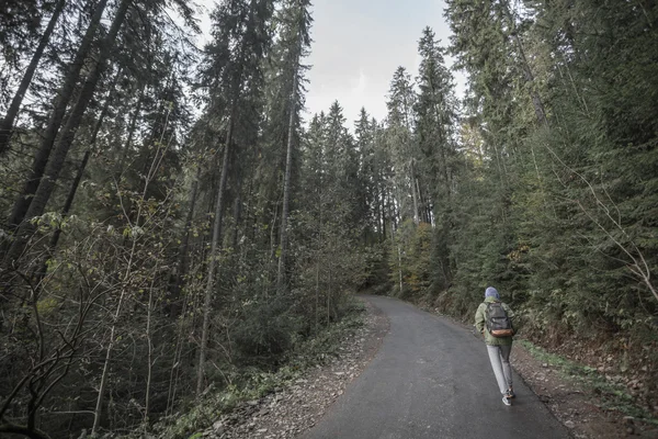 Jong meisje lopen in het bos in de bergen, donkere afbeelding — Stockfoto