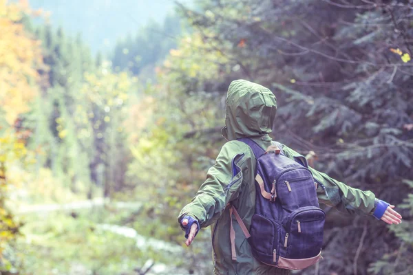 Nöjd resenär i höst skogen bergslandskap och fallande hösten lämnar — Stockfoto