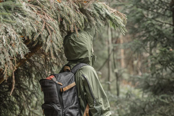 Caminante mujer descansando en el bosque de montaña — Foto de Stock