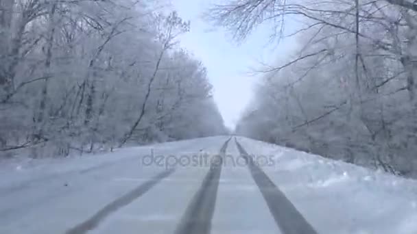 Un coche que conduce a través del bosque nevado — Vídeo de stock