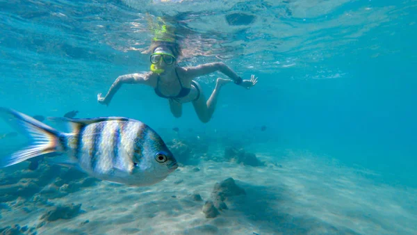 Femme nageant sous l'eau avec des poissons colorés — Photo