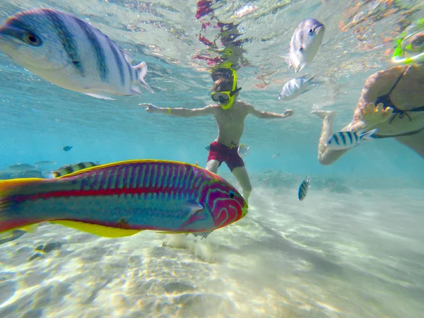 Підводний світ з хлопчиком занурюється в плавання з різнокольоровими рибами — стокове фото