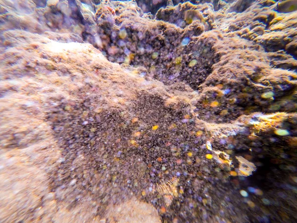Underwater world coral reef, sand and splashes, blurred backgound