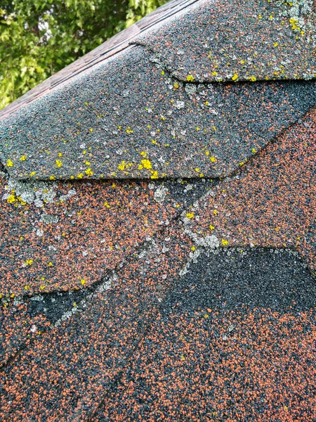 Roof with aged asphalt tiles