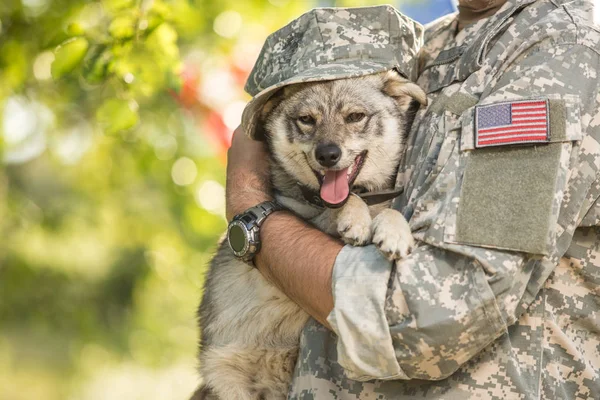 Soldier with military dog outdoors on a sunny day — Stock Photo, Image