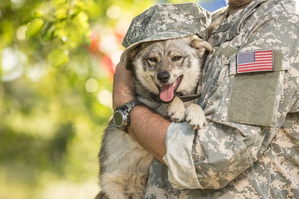 Soldier with military dog outdoors on a sunny day