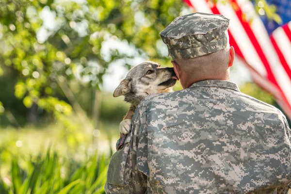 Soldat med militär hund utomhus på en solig dag — Stockfoto