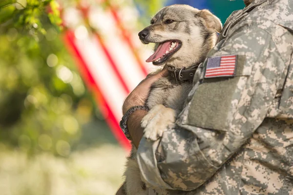 Soldier with military dog outdoors on a sunny day — Stock Photo, Image