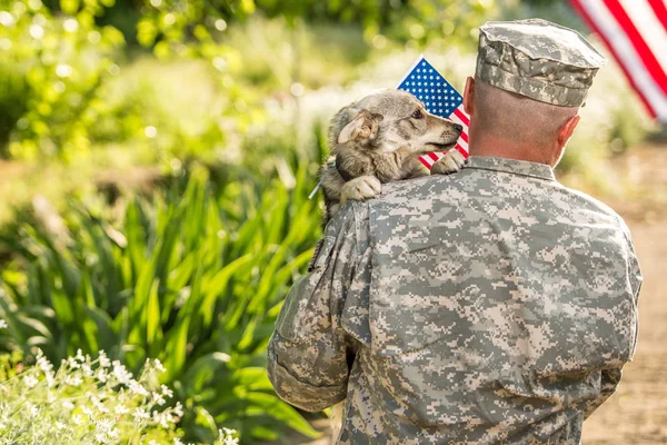 Солдат с военной собакой на улице в солнечный день — стоковое фото