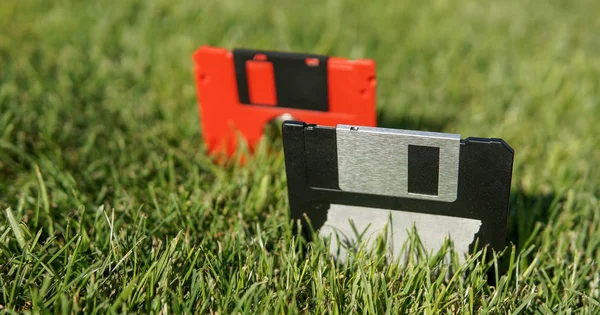 Disketleri yeşil çim