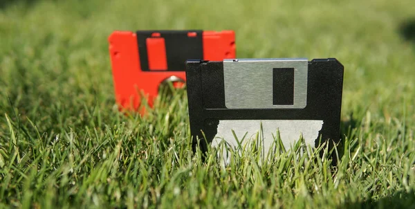 Disketleri yeşil çim