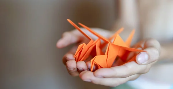 Origami kuş çocuk elinde — Stok fotoğraf