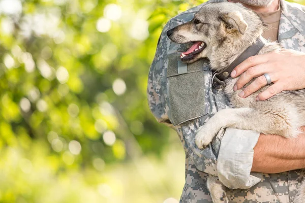Soldier with a dog — Stock Photo, Image