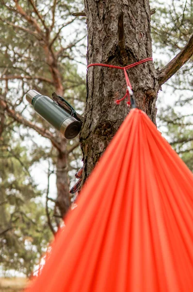 Thermos appeso ad un albero in una foresta durante il viaggio — Foto Stock