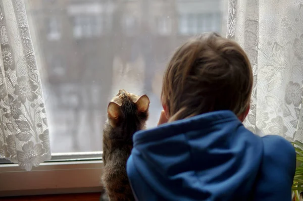 Beautiful Scene Two Friends Looking Out Window Small Boy Cat — Stock Photo, Image