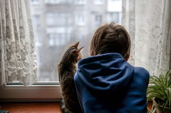 美丽的景象两个朋友望着窗外 小男孩带着一只猫盯着窗外看着飘落的雪花 专注于猫 — 图库照片