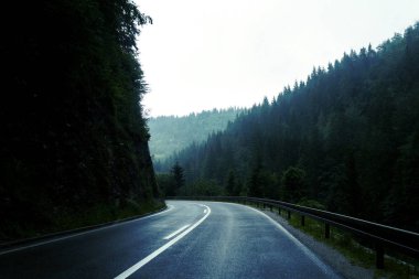 asphalt road that goes through a  dark misterious pine forest