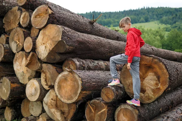 Hipster Młody Chłopiec Zewnątrz Portret Pobliżu Stosu Kłód Drewna — Zdjęcie stockowe