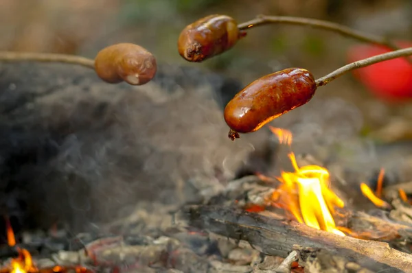 Sausages Stick Grilled Fire Shallow Depth View Focus One Sausage — Stock Photo, Image