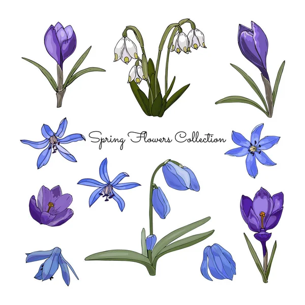 Color Collection Spring Flowers Your Design — 스톡 벡터