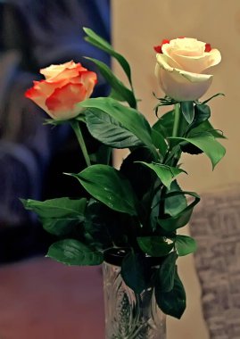 Vazodaki çiçeklerin ev kompozisyonu kırmızı, beyaz, yeşil yapraklı ve dikenli saplı.