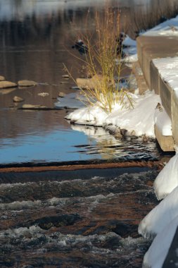 Kışın Park 'ta, kar, nehrin üzerine eğilmiş dallar, şelaleler fıskiyeler, fıskiyeler, baraj ve suda taşlı köprü parçaları, toprak toprak seti boyunca çalılar, güneşte parlayan sular.