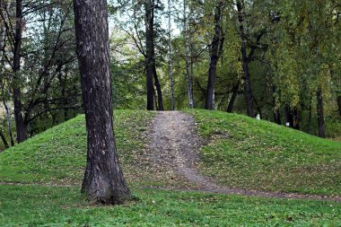 Şehrin parklarında farklı ağaçlar, çalılar, kütükler, yollar, göletler ve su birikintileri, çimenler ve yaprak döken örtüler, orman çiçekleri ve yabani otlar, kozalaklı ve yaprak döken bitkiler görebilirsiniz..