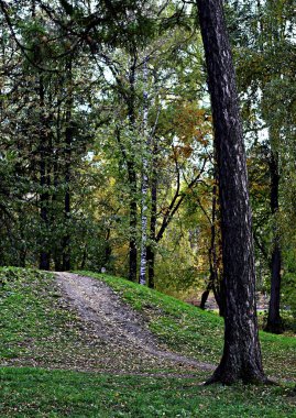 Şehrin parklarında farklı ağaçlar, çalılar, kütükler, yollar, göletler ve su birikintileri, çimenler ve yaprak döken örtüler, orman çiçekleri ve yabani otlar, kozalaklı ve yaprak döken bitkiler görebilirsiniz..