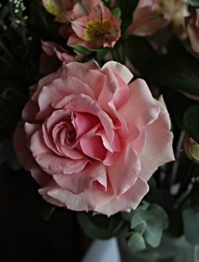 Bir buket gül ve beyaz çiçekler, parlak yeşil yapraklı muhteşem pembe ve beyaz güller, açılmamış çiçeklerin narin tomurcukları ve güller