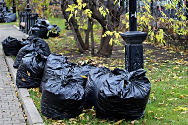 Mimari, mühendislik yapıları, bina ve yapıların parçaları, dini binalar, ahşap mimari, heykel, küçük biçimler, şehir gelişimi