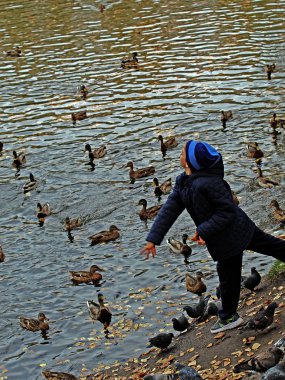 Kentin park alanlarında, tatilcileri beslemekten mutlu olan, beyaz martıları beslemeye gelen ördeklerin yaşadığı rezervuarlarda kuşlar sıcak ve güneşli günlerde poz vermekten mutlu olurlar.