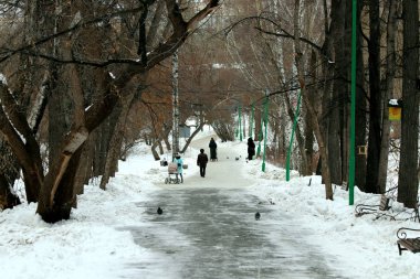 Kış parkında bir sürü insan ve kuş vardır ağaçlarda ve çalılıklarda güvercinler, kargalar, mavi memeler, serçeler, kar ve su üzerinde ördekler